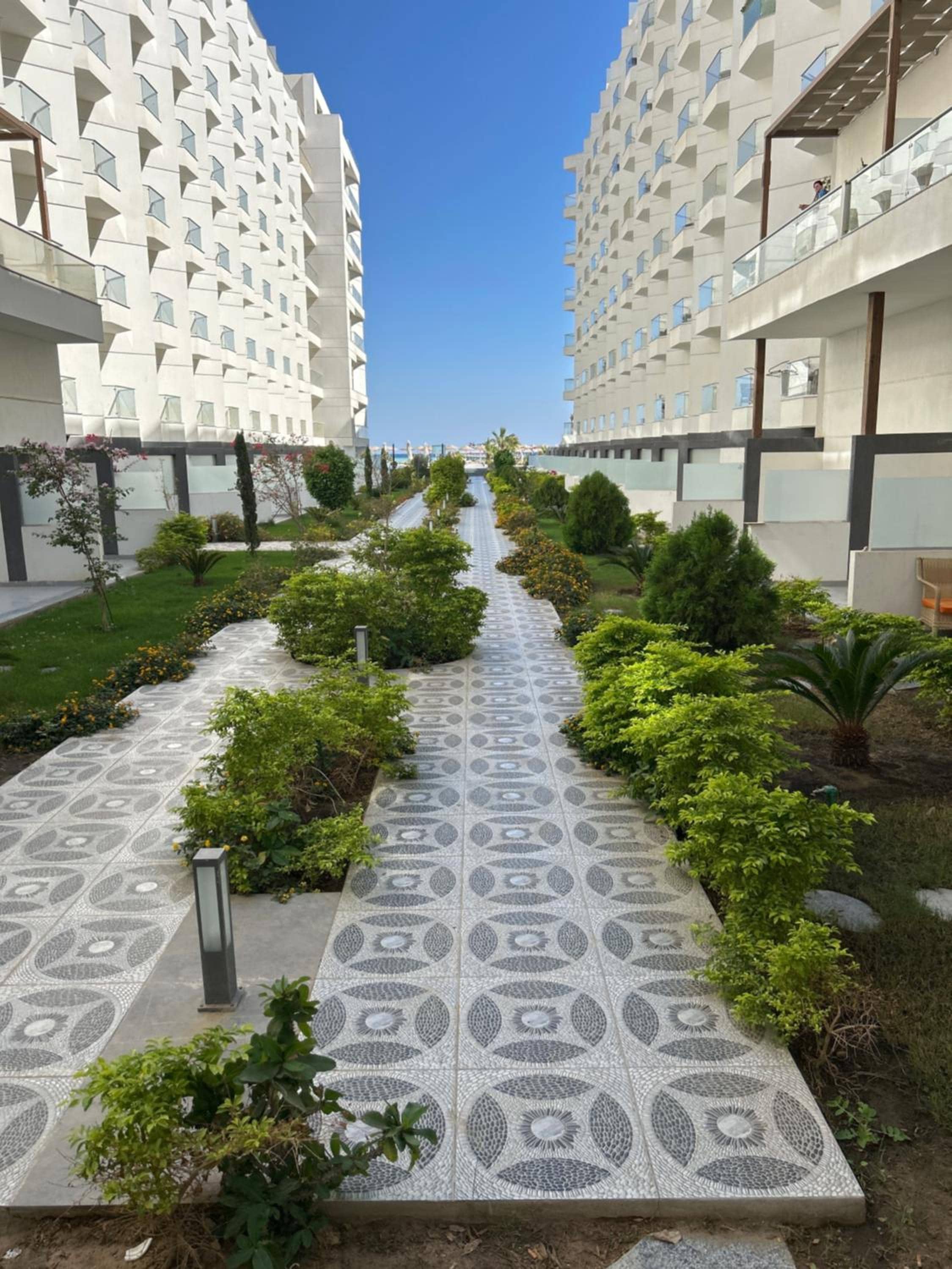 scandic resort 647