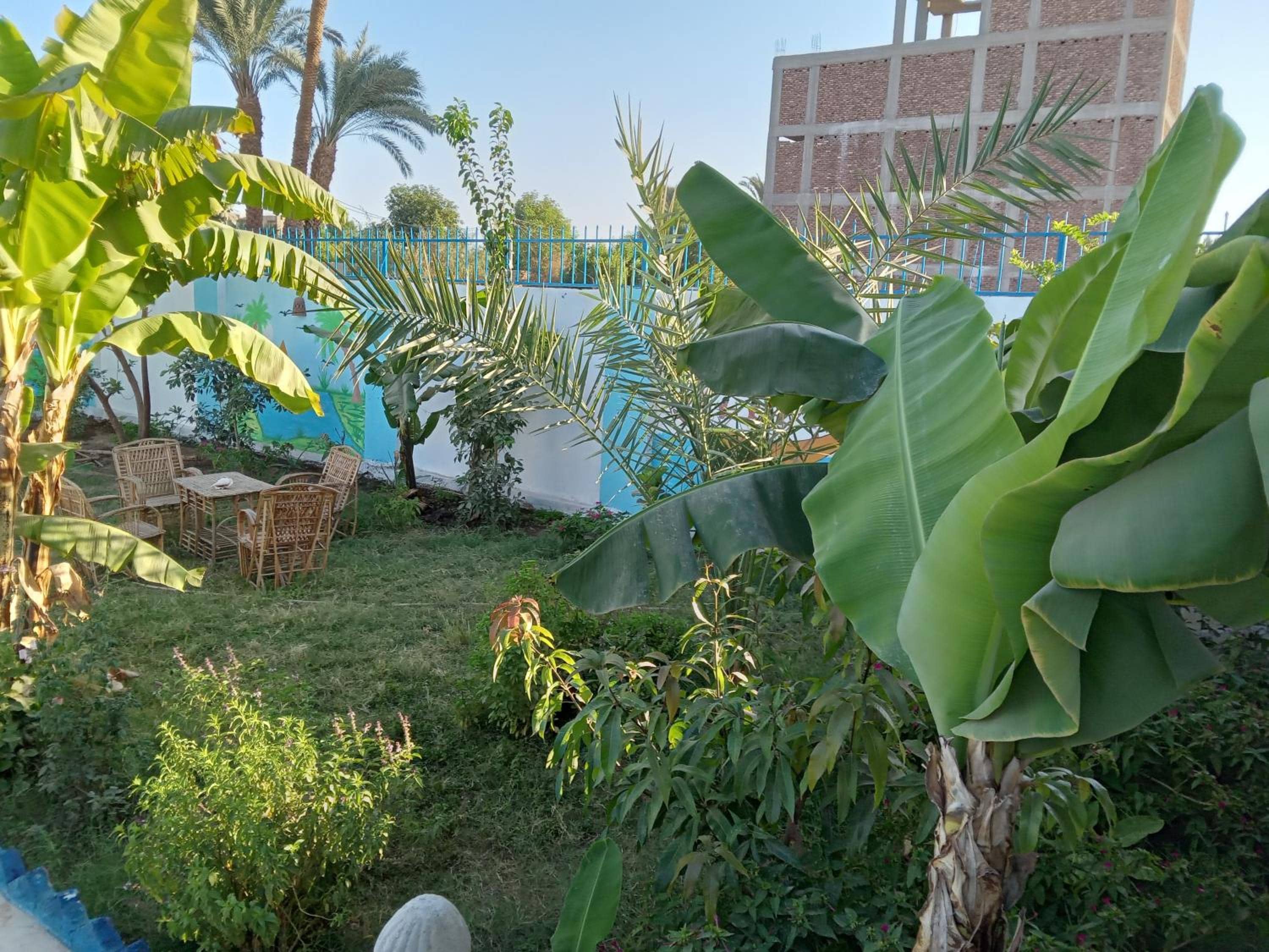 Noby Guest House — 5
