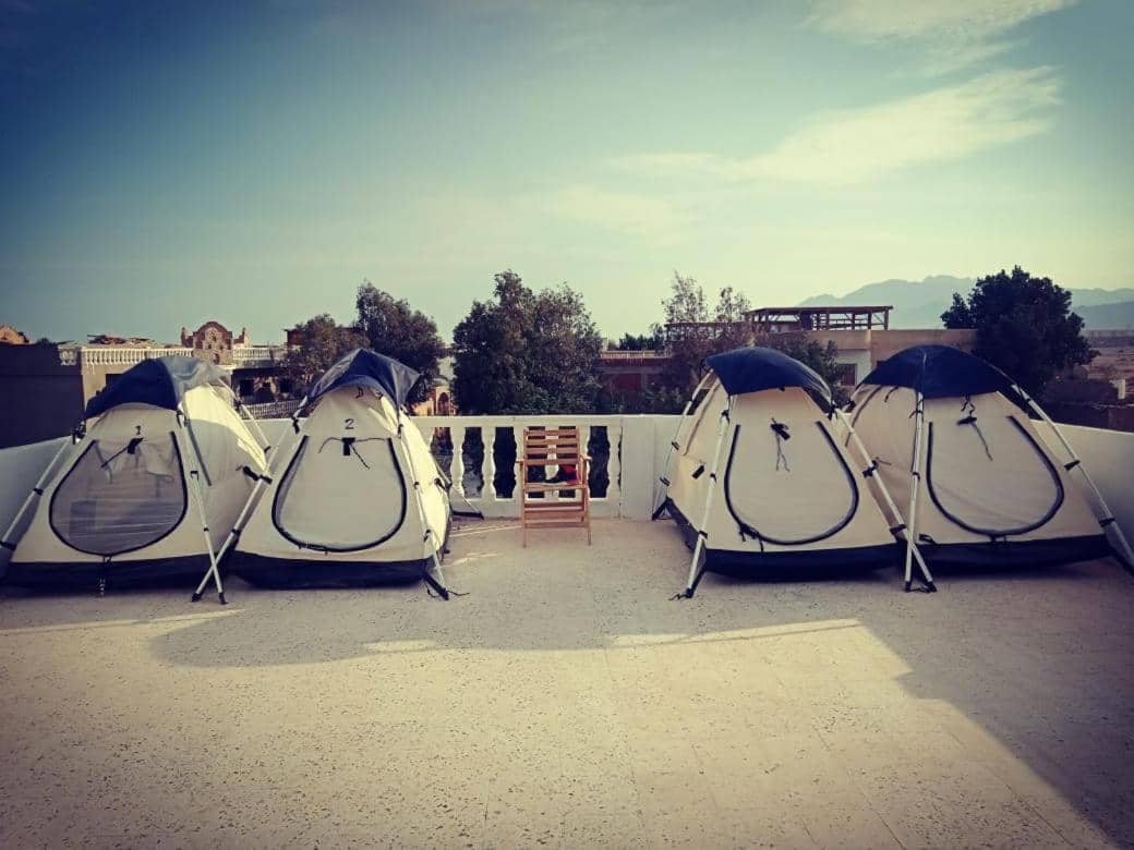 Tentania Dahab — 4