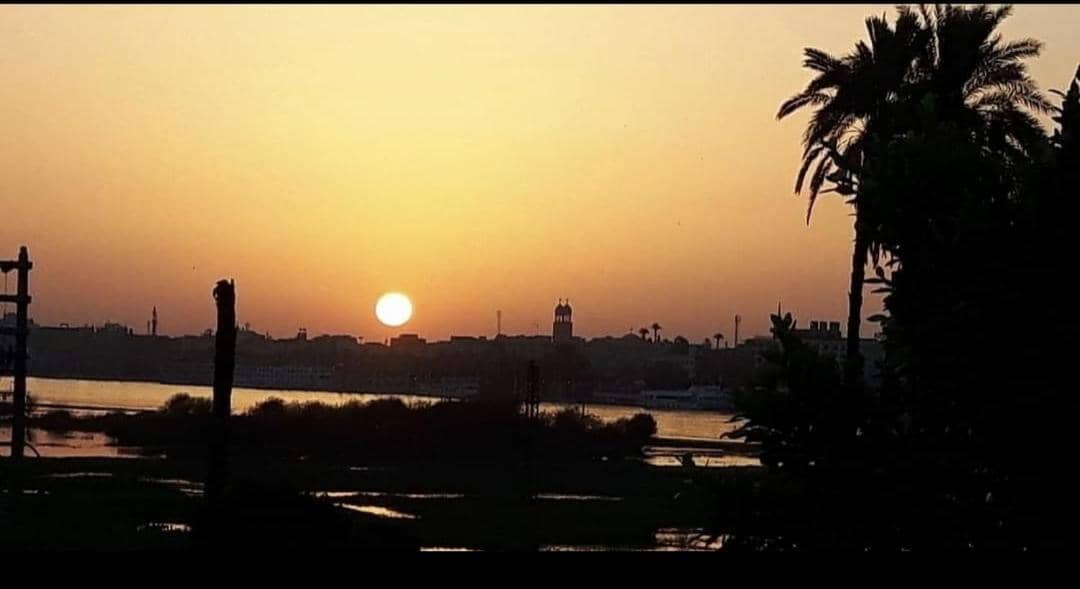 Pro Luxor guest house