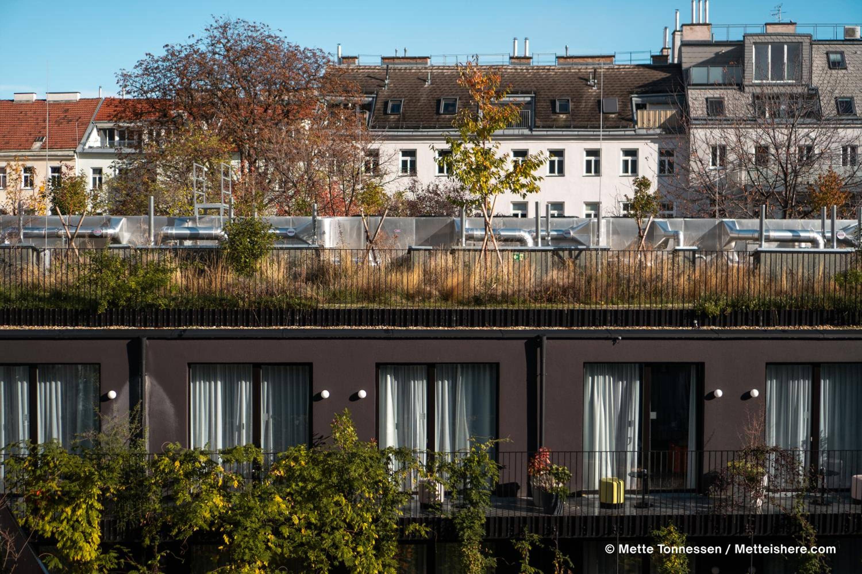 Hotel Indigo Vienna - Naschmarkt by IHG — 4