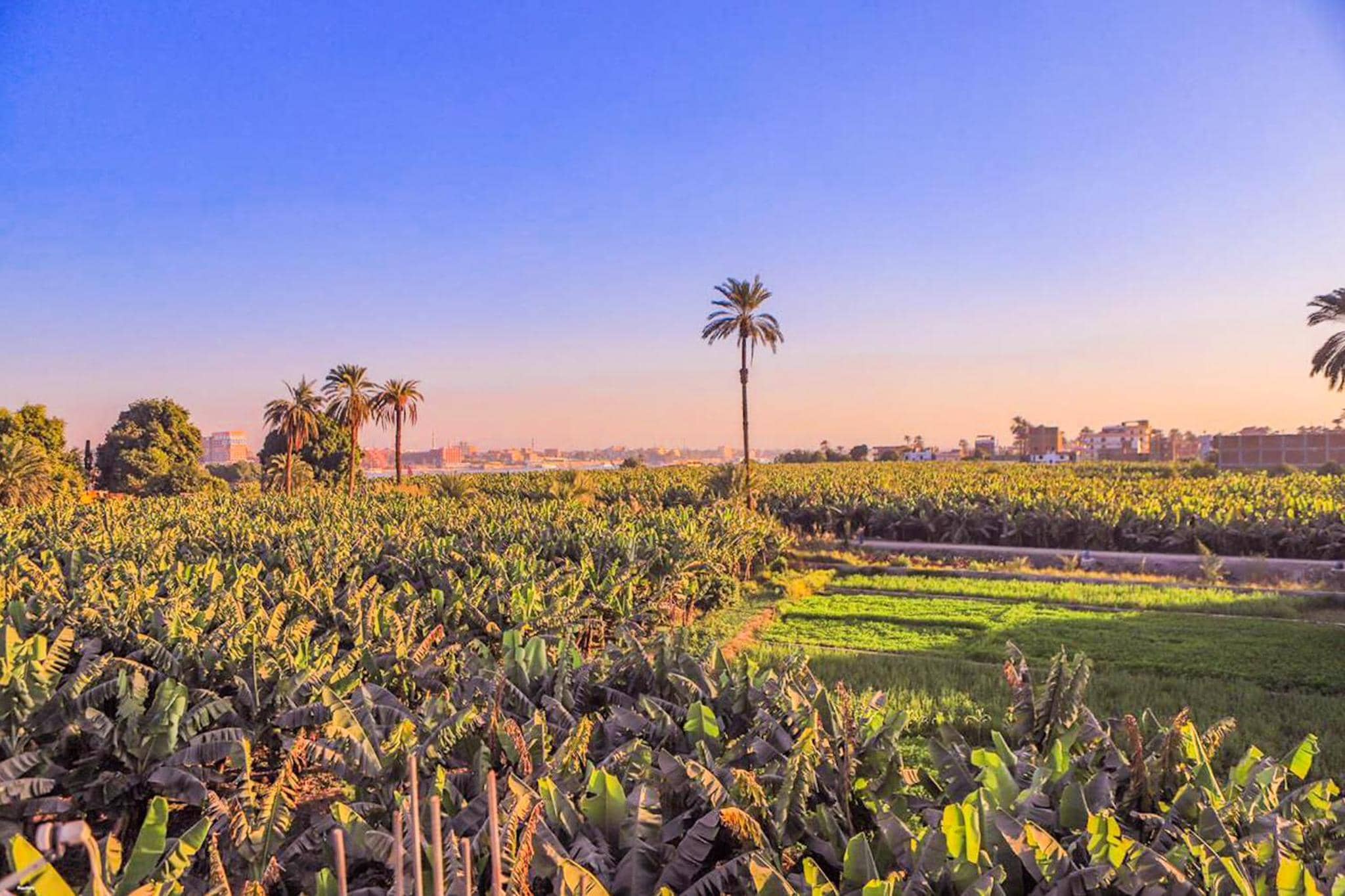 LUXOR DREAM - Panoramic Villa — 4