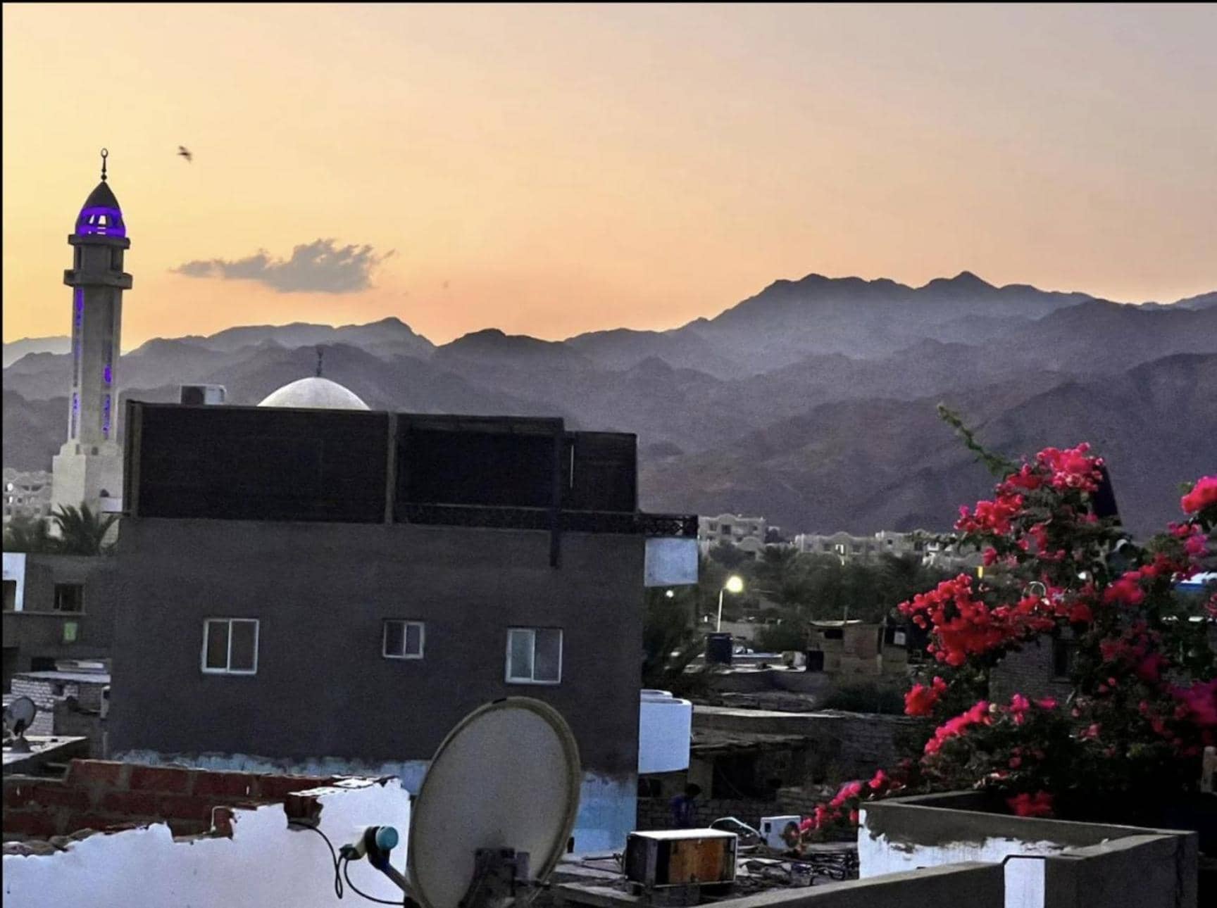 Digital Nomad Hub - Wifi Available