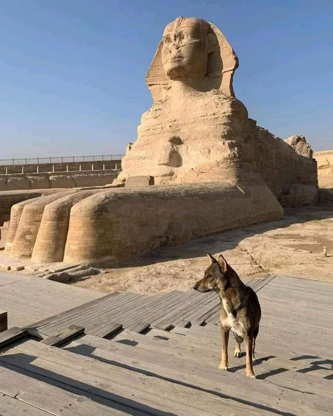 Fares pyramids Hostel — 2