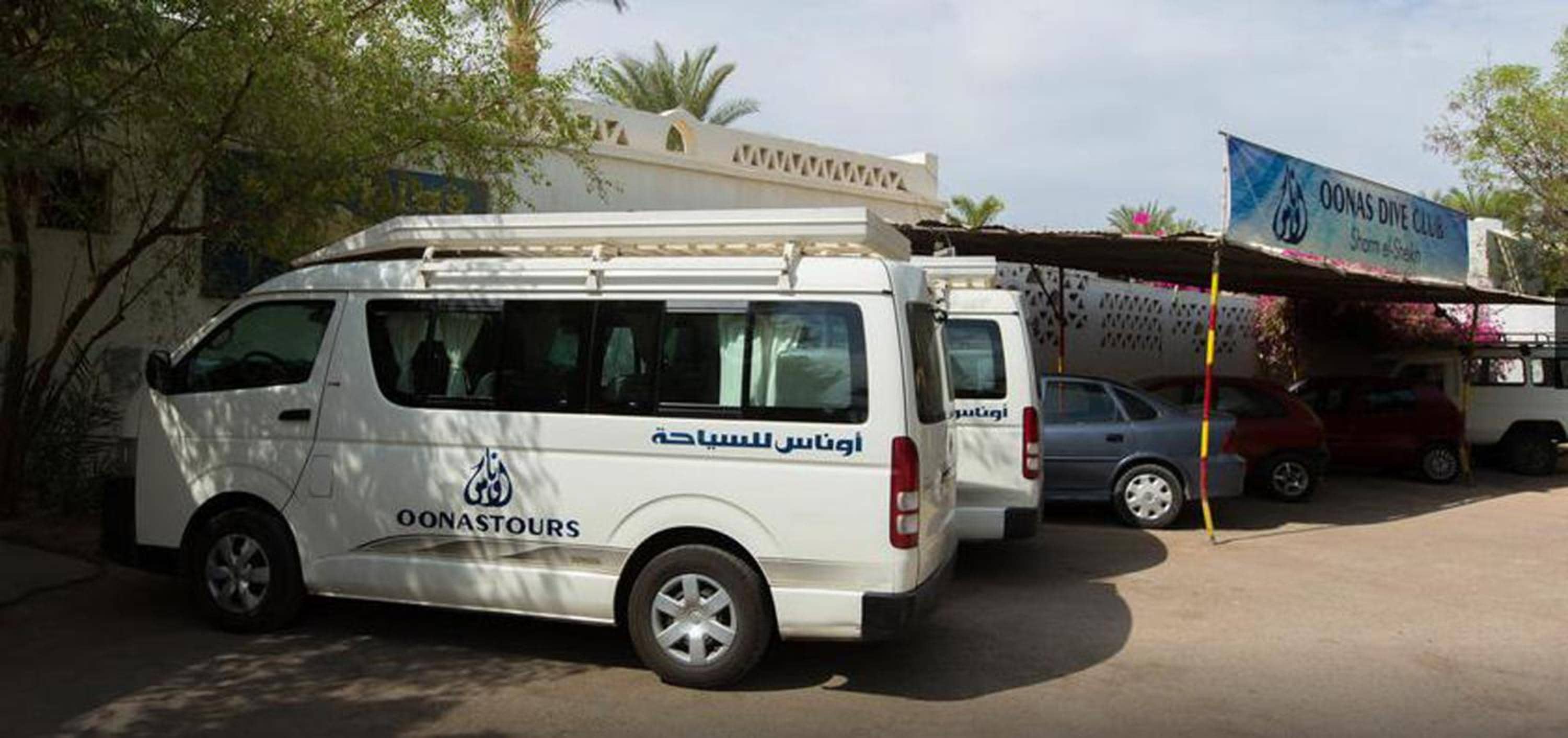 Oonas Dive Club — 4