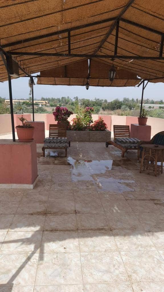 villa on Nile — 5