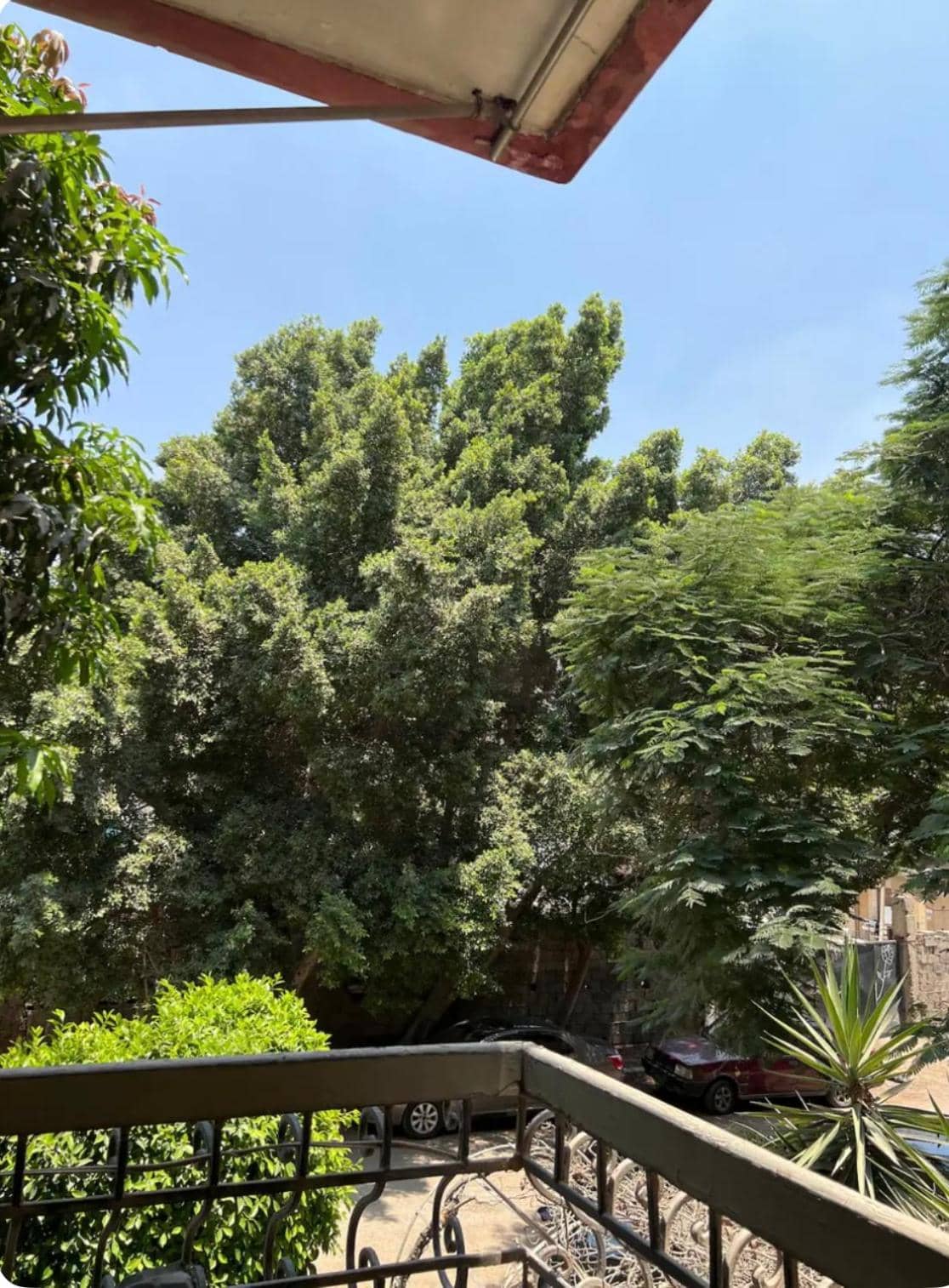 Apartment for rent in Cairo