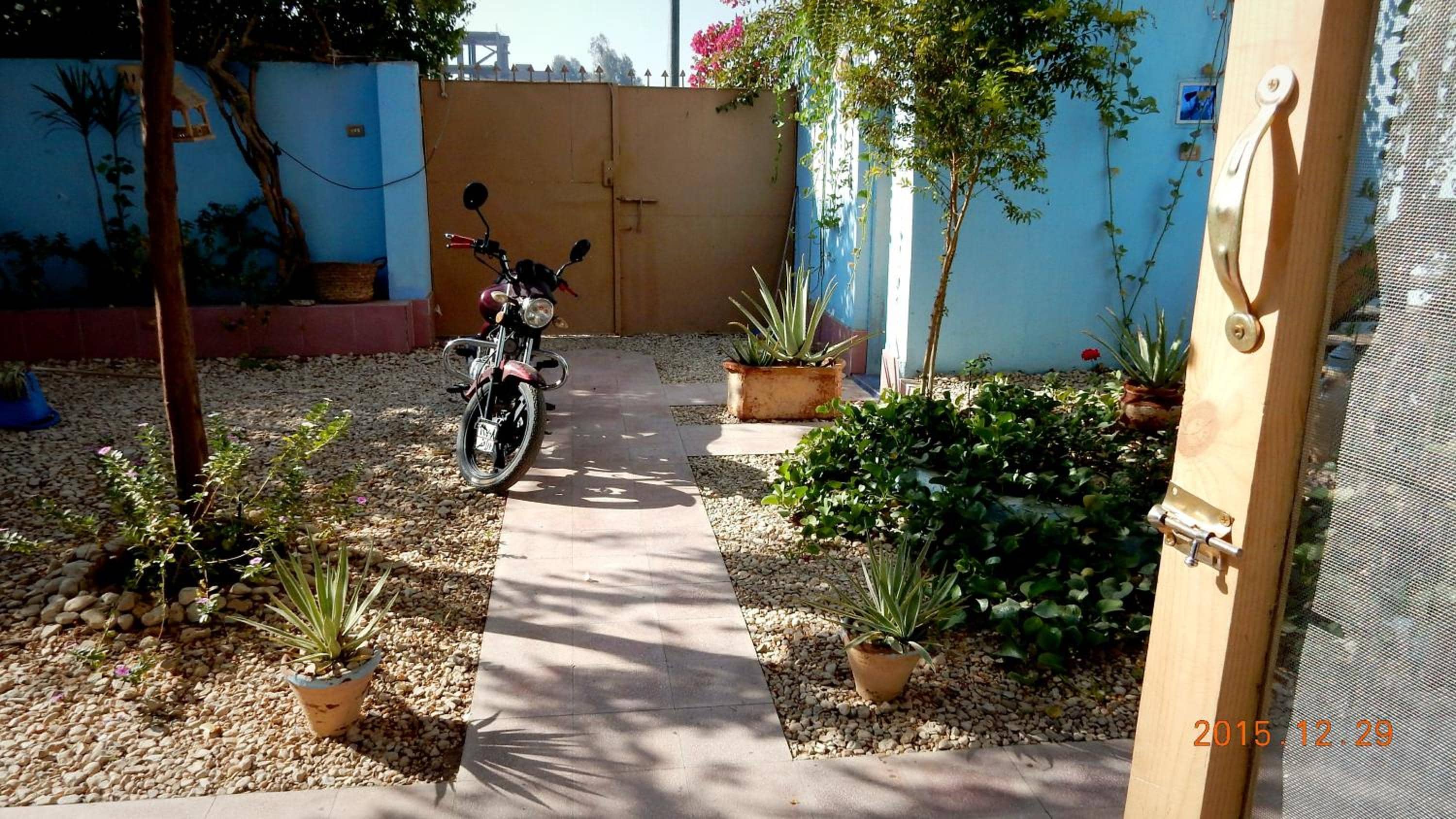 Villa Diletta Luxor — 5