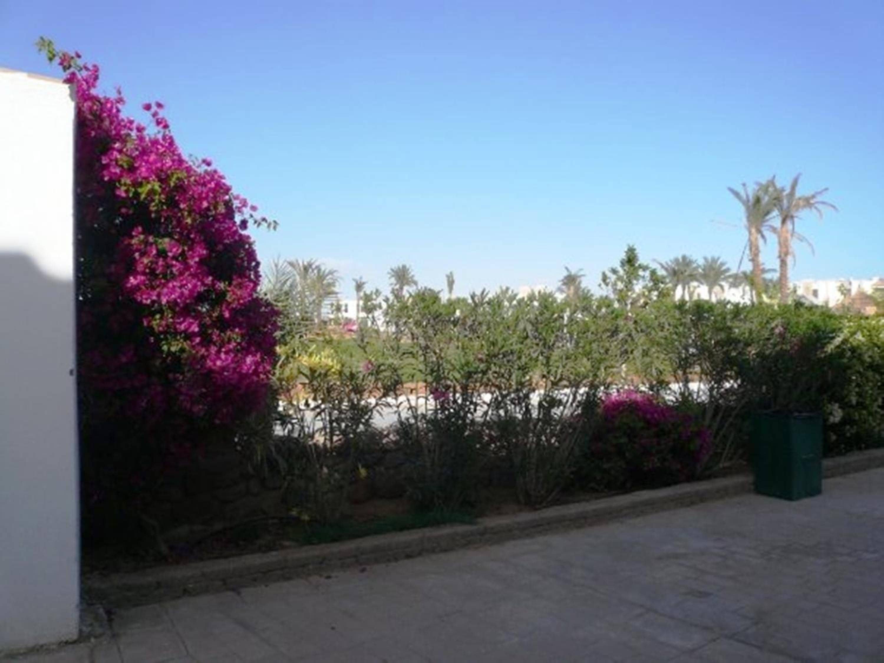 Logaina Sharm Resort Apartments — 4