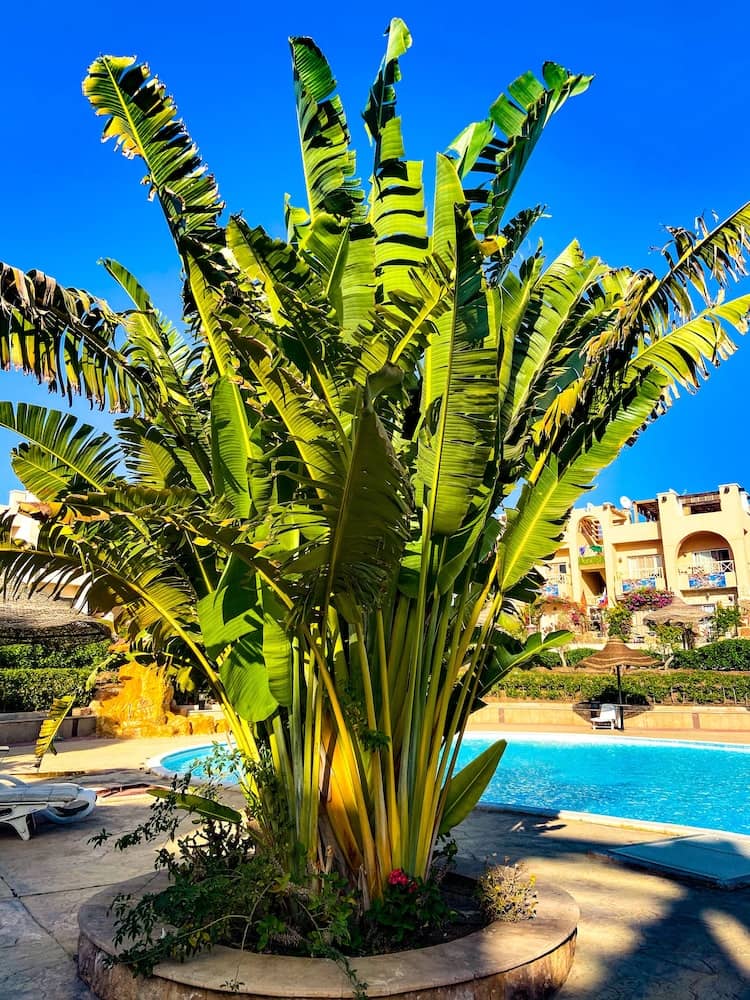 Sunny Lakes Resort Apartments - Adults Only — 5