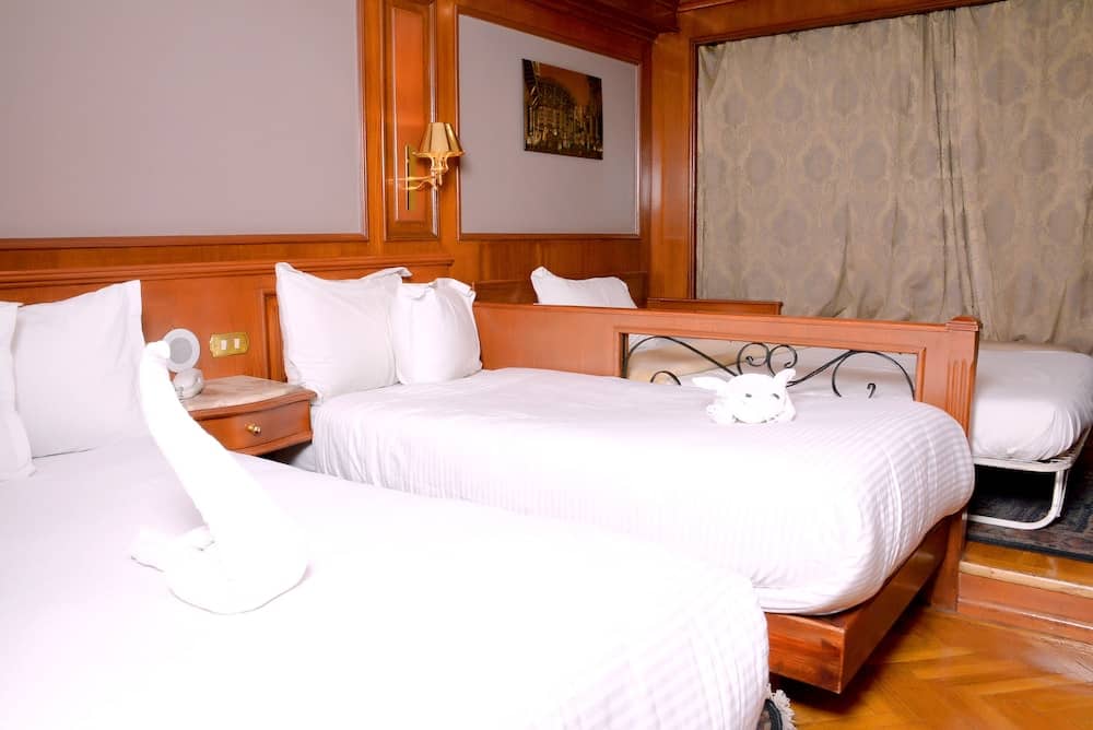 Nile Cruise 3 or 4 or 7 nights — 2