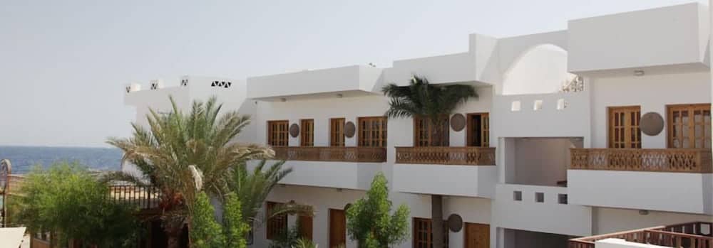 Star Of Dahab