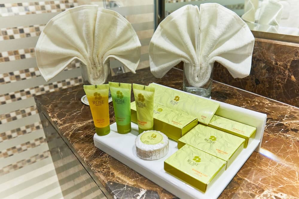 Rose Plaza Hotel Al Barsha — 3
