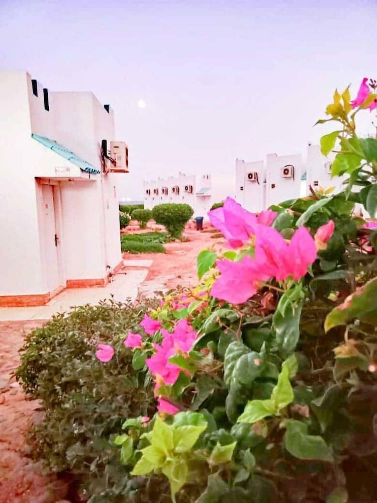 Amigo Hotel Dahab