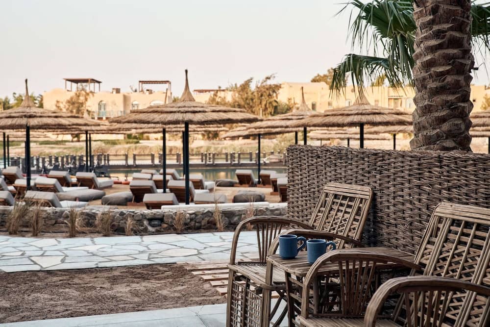 Cook's Club El Gouna - Adults Only — 5