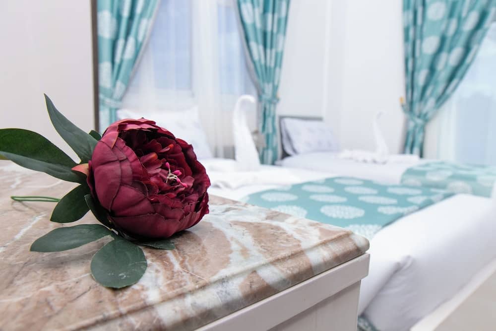 Bella Vista Apartment up to 3 Persons - Feel Home Away From Home — 2