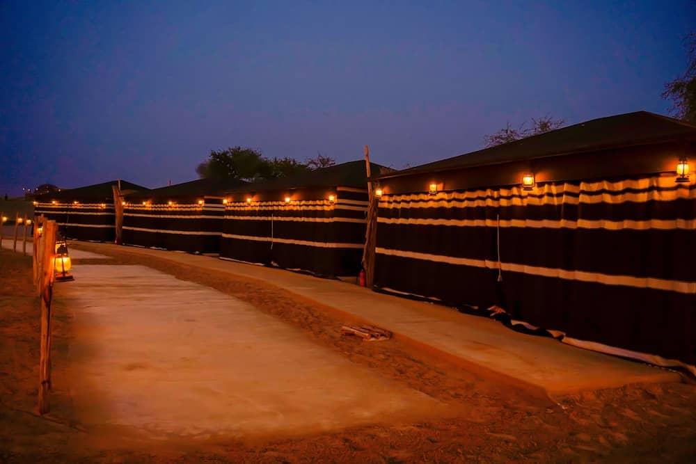 Al Marmoom Oasis Luxury Experiential Desert Domes