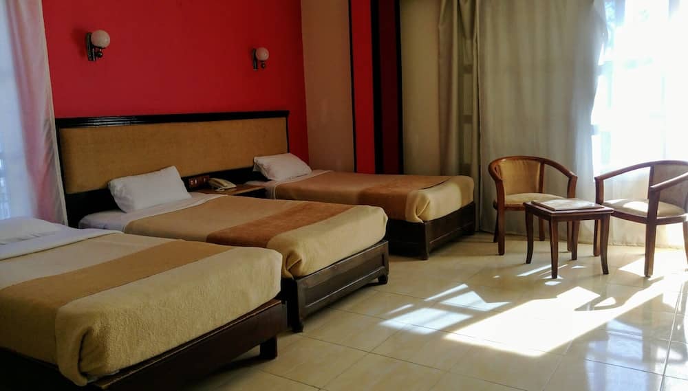 New Da Vinci Hotel — 3