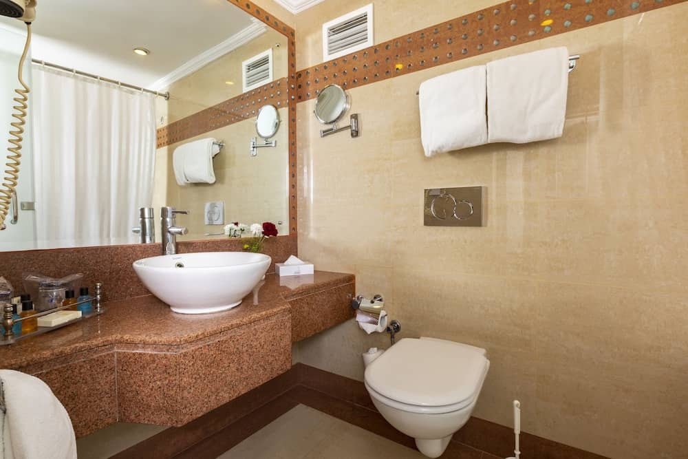 Flamenco Hotel Cairo — 3